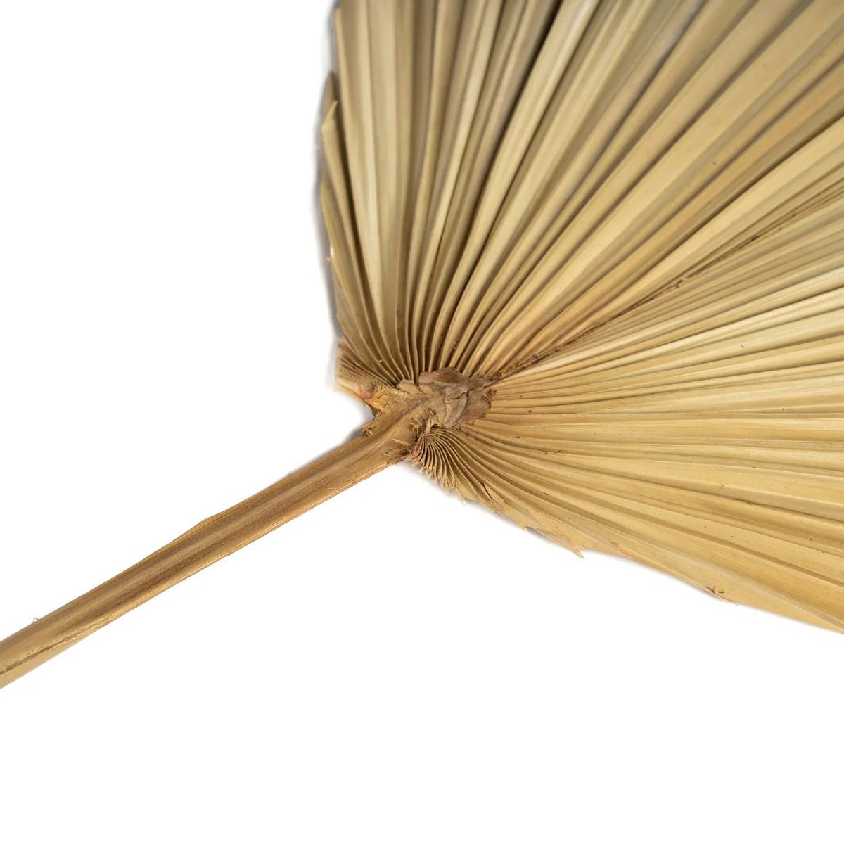 Das Rayung-Blatt – natürlich