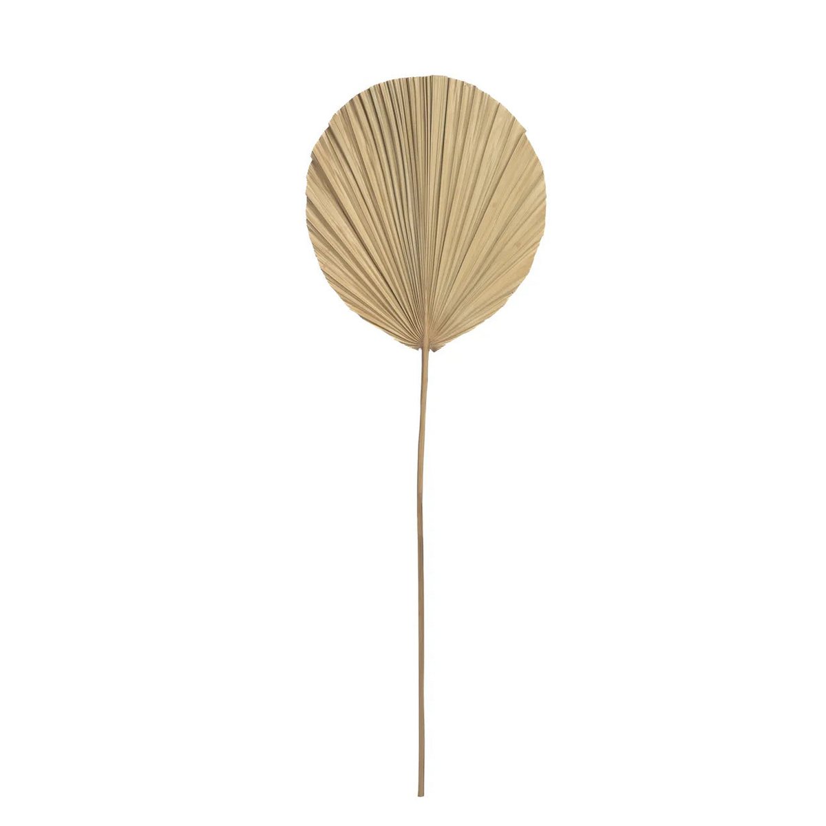 Das Rayung-Blatt – natürlich