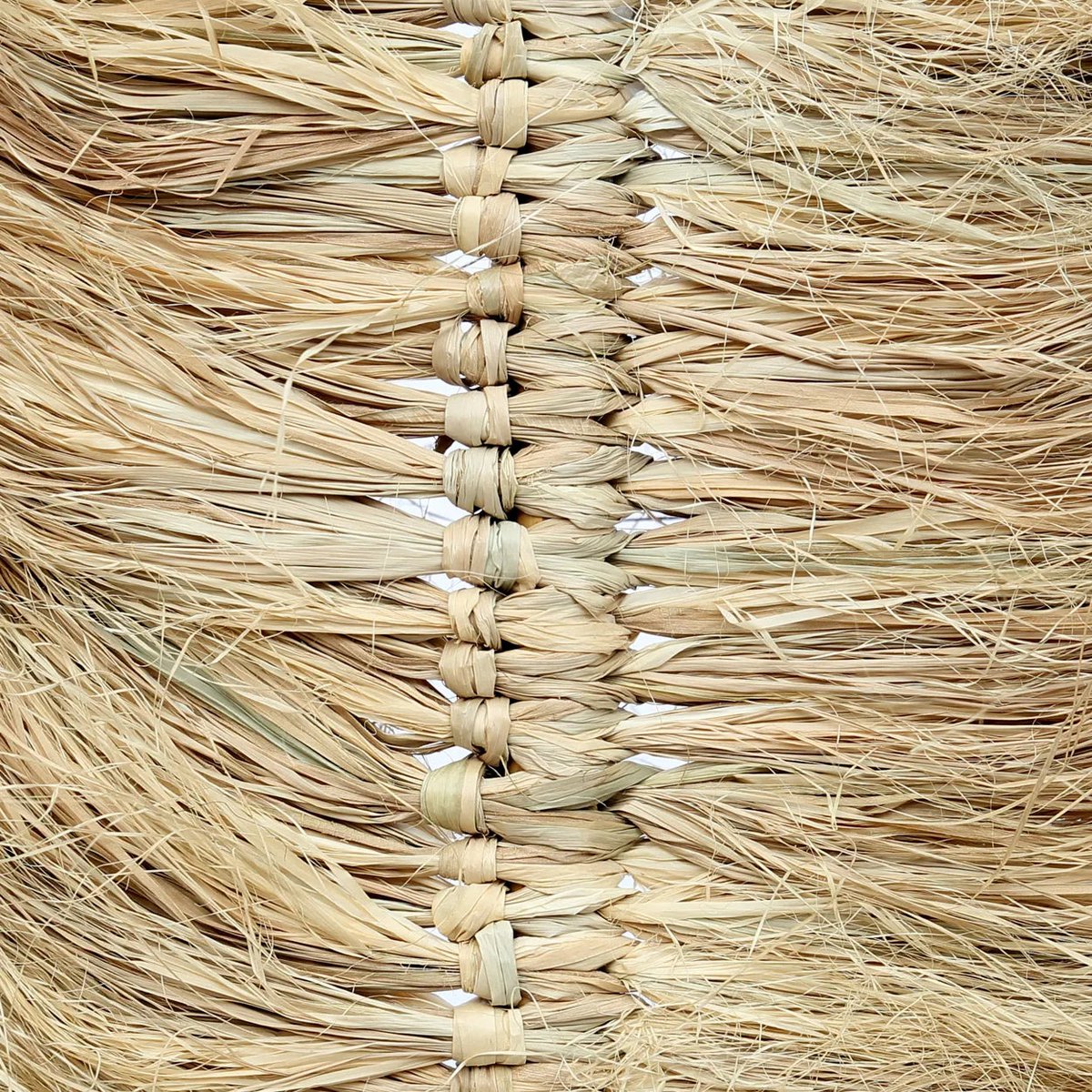Der Raffia Palmeira – Natürlich