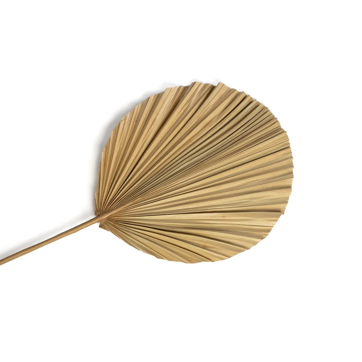 Das Rayung-Blatt – natürlich