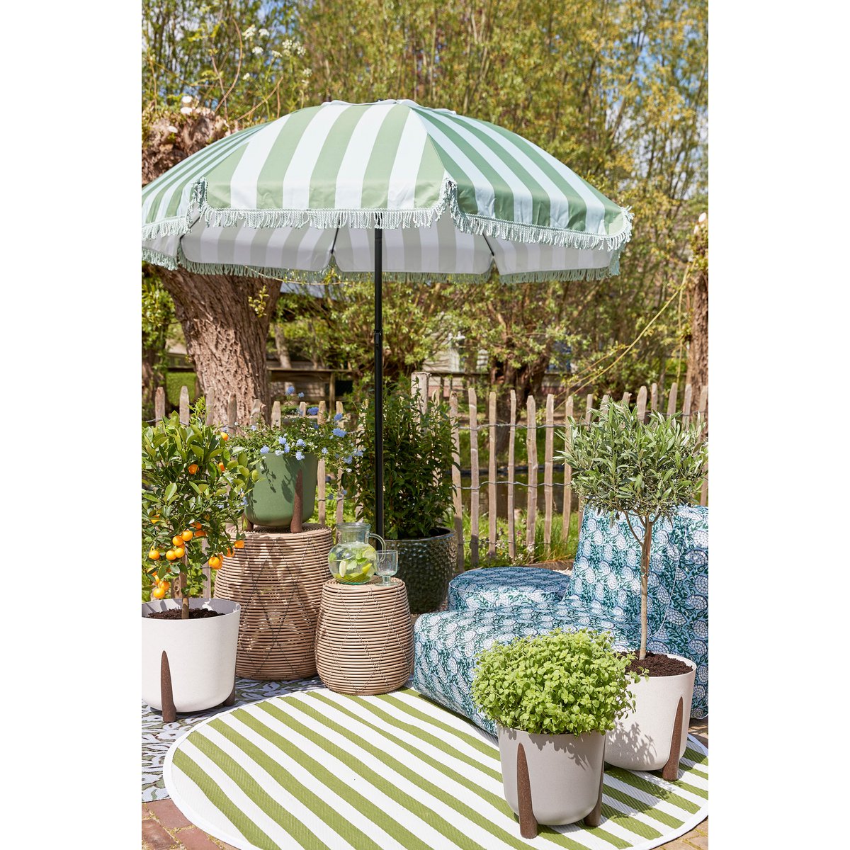 Osborn Parasol