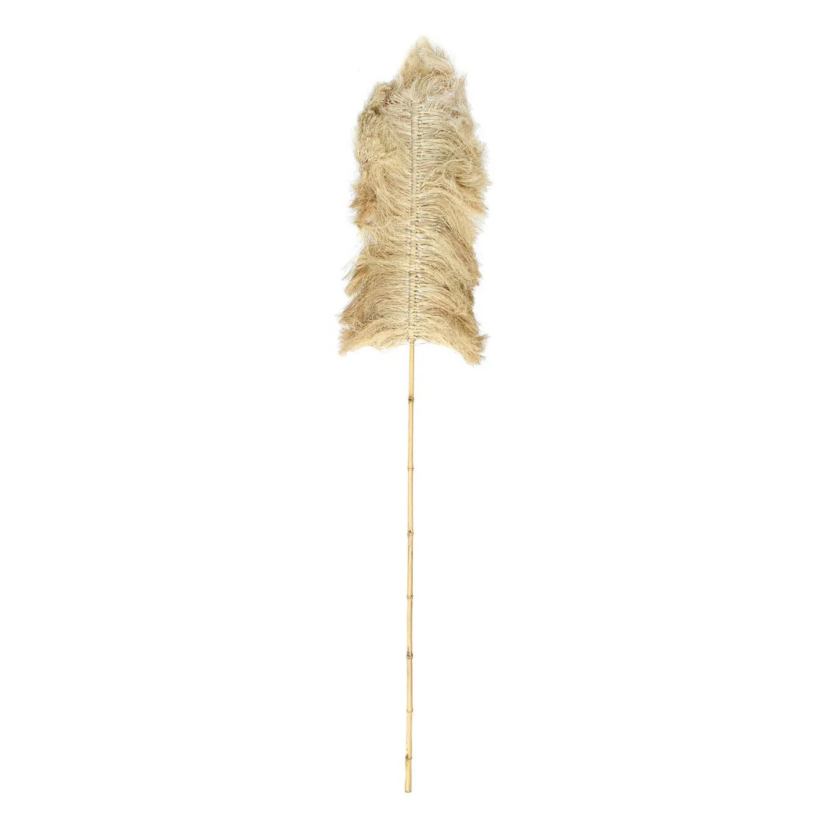 Der Raffia Palmeira – Natürlich