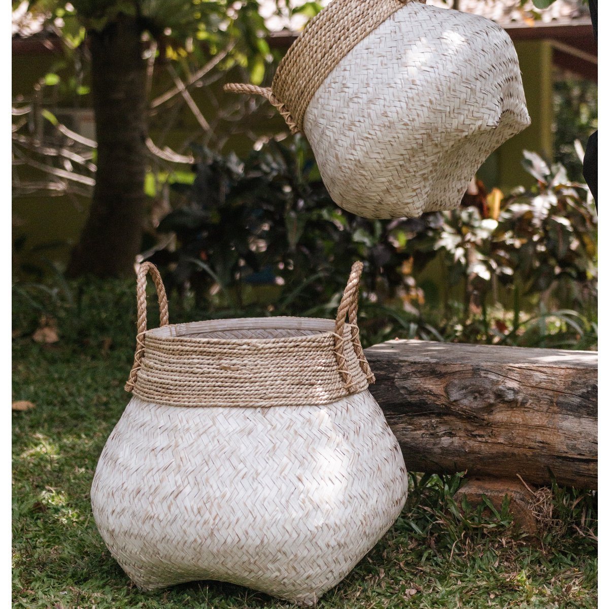 Basket | Laundry basket | Plant basket BENOA made of bamboo (2 sizes)