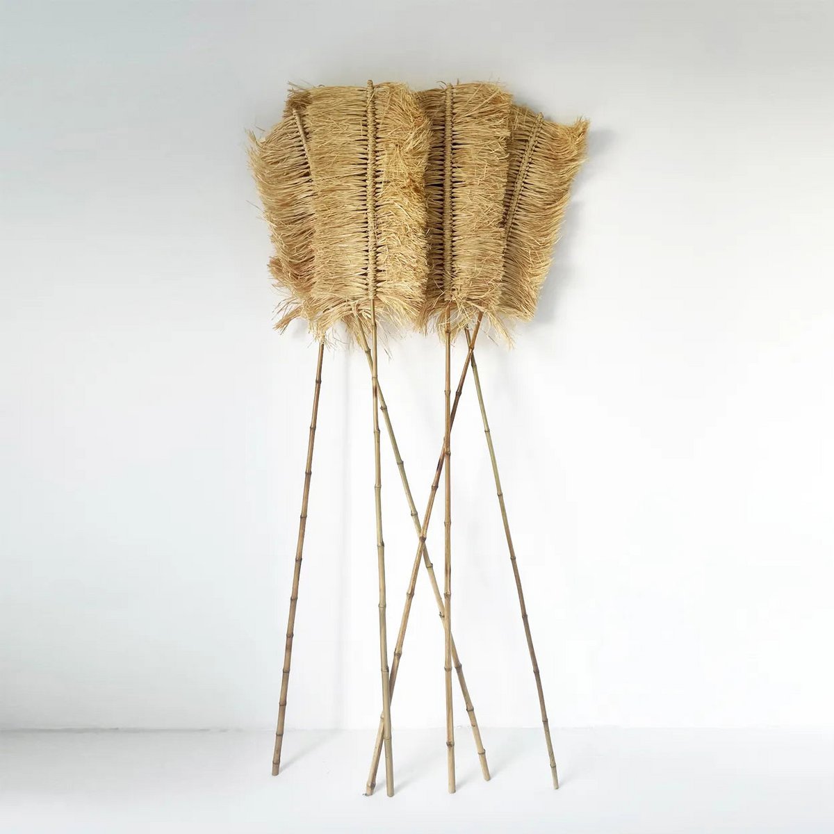 Der Raffia Palmeira – Natürlich