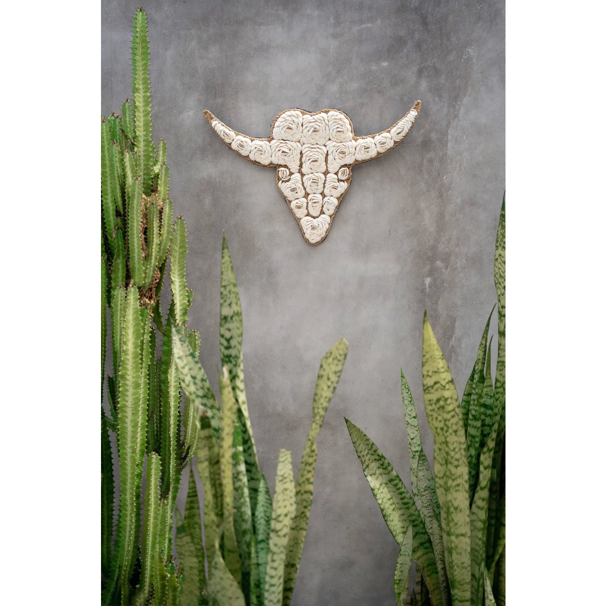 The Bull Shell - White