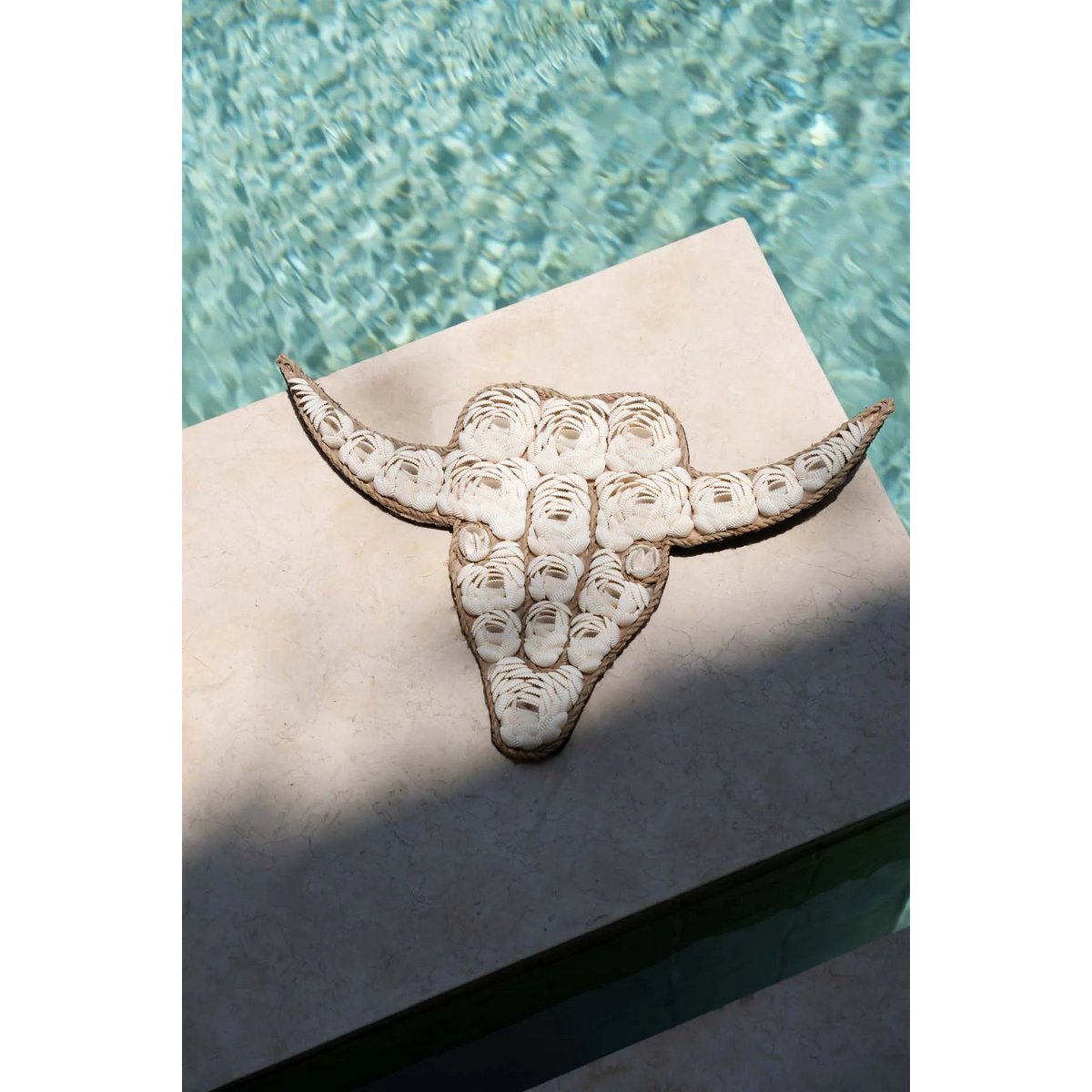 The Bull Shell - White
