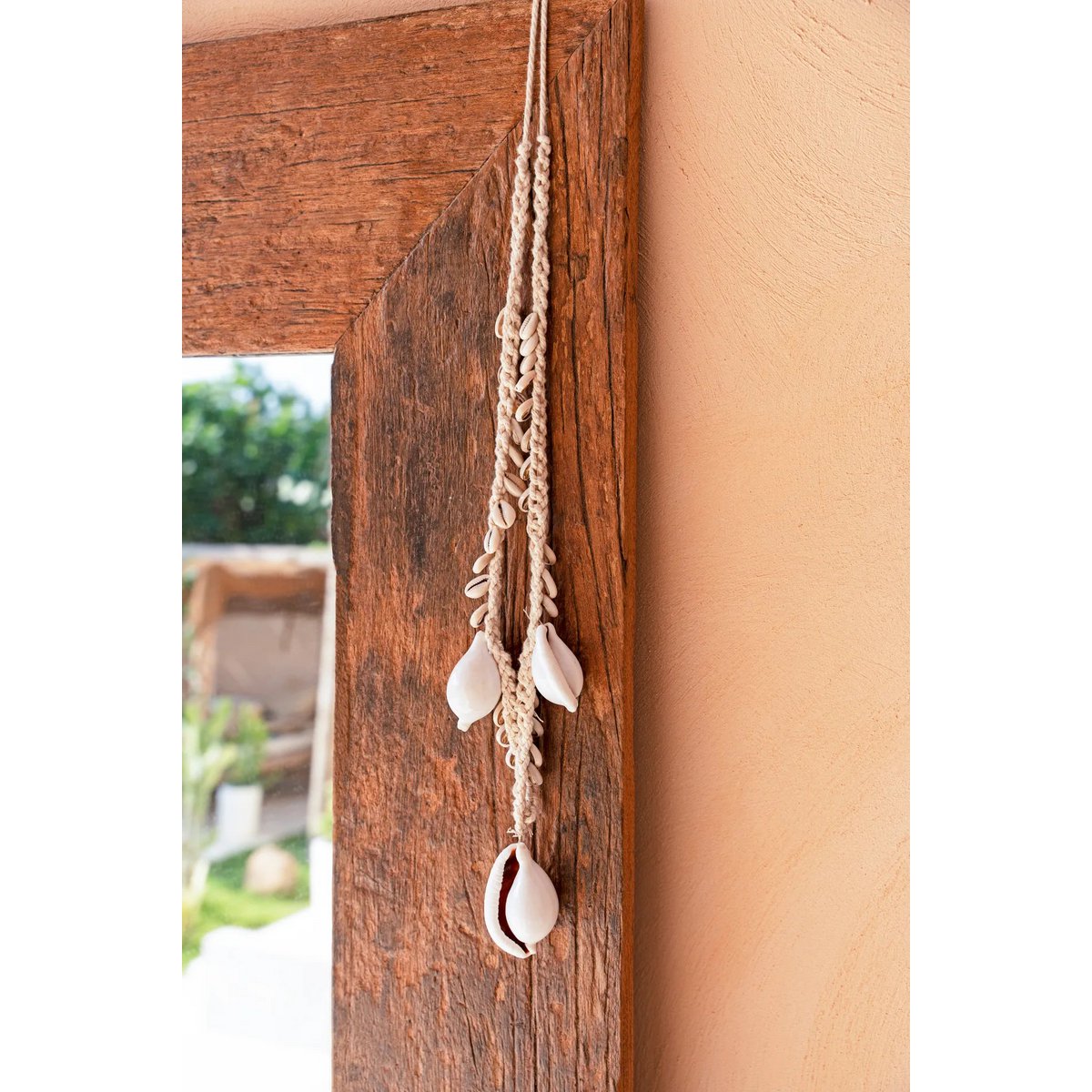 De grote witte kauri schelp ketting